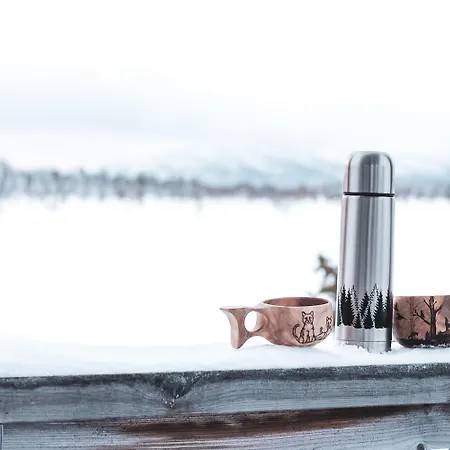 In Lapland - Levi Moonlight Ii B304